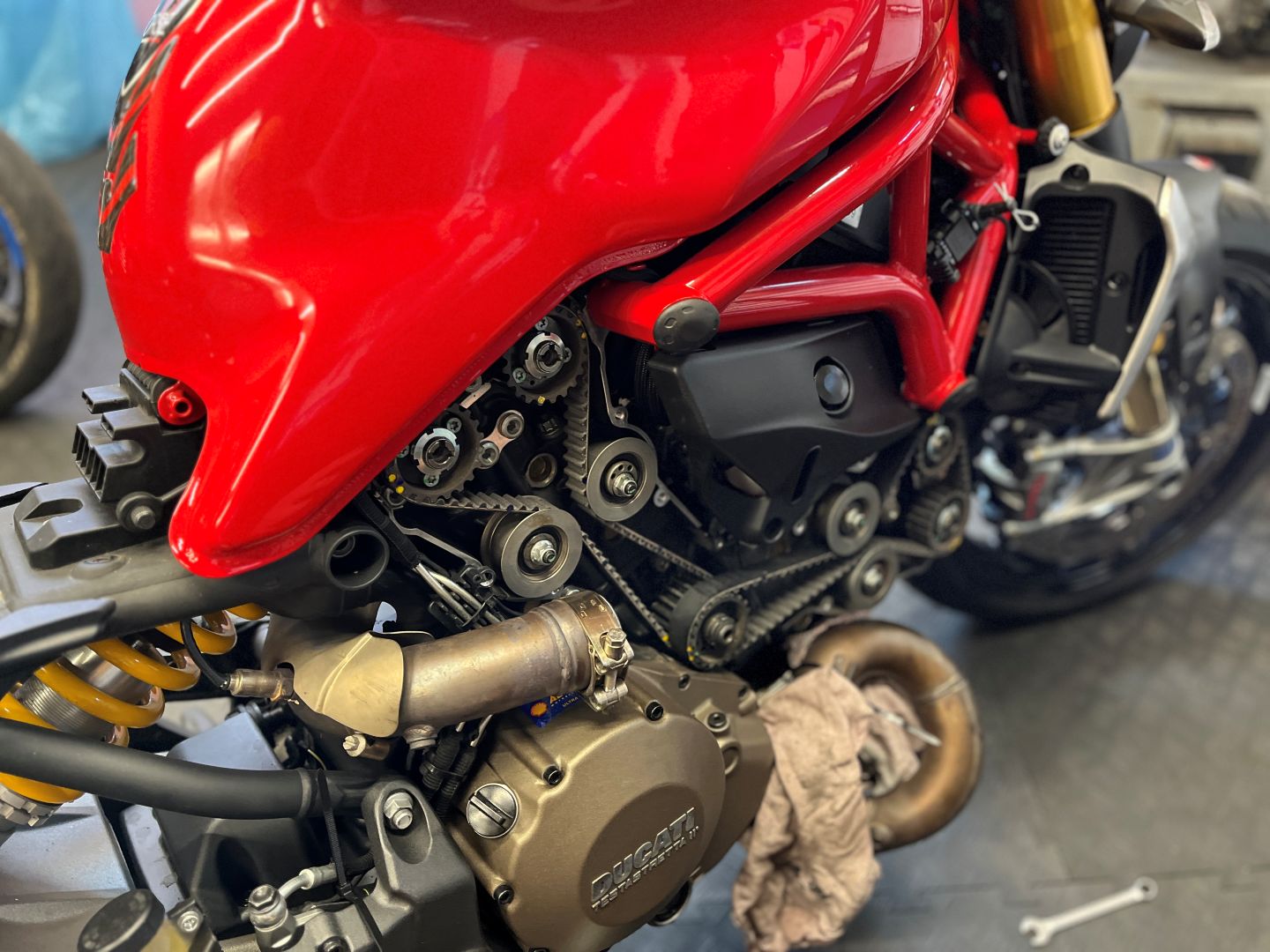 rozvodové řemeny ducati